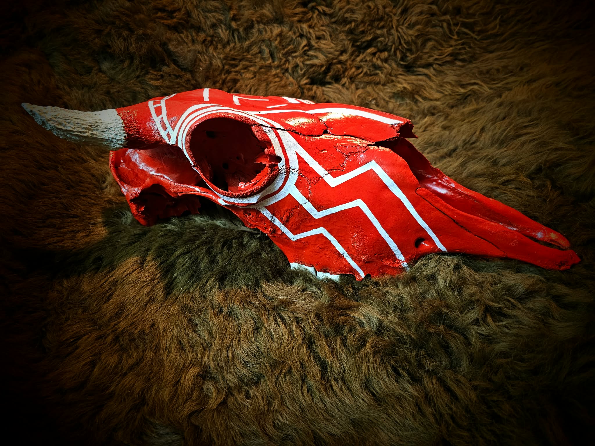 Hand Painted Woods Bison Skull