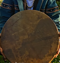 16" Bison